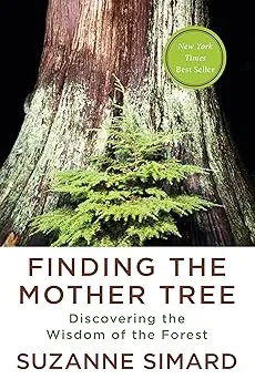 Finding the Mother Tree Book Cover